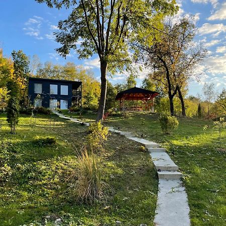 Casa De Pe Un Deal-Provita De Sus-Prahova Exterior photo